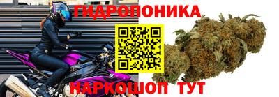 круглые Лесосибирск