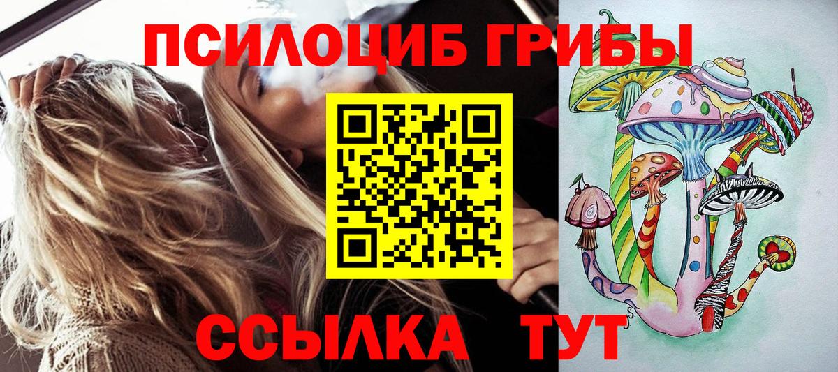 Галлюциногенные грибы прущие грибы Горячий Ключ